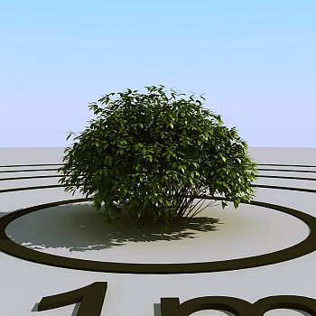 050灌木植物球绿植3d模型下载