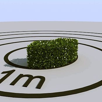 046景观植物绿植墙植物墙树墙黄杨灌木3d模型下载