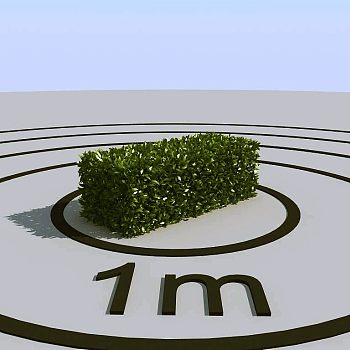 044景观植物绿植墙植物墙树墙黄杨灌木3d模型下载