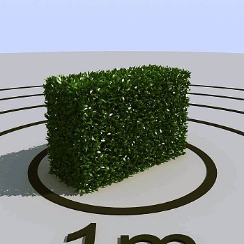 038景观植物绿植墙植物墙树墙黄杨灌木3d模型下载