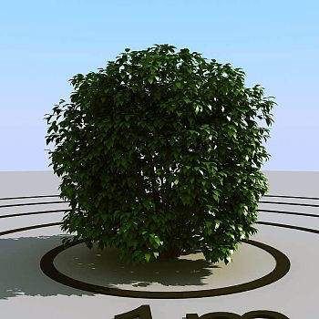 029灌木植物球绿植3d模型下载