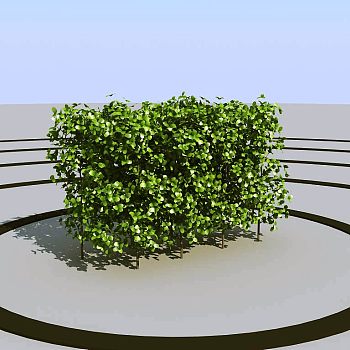 028景观植物绿植墙植物墙树墙黄杨绿化带3d模型下载
