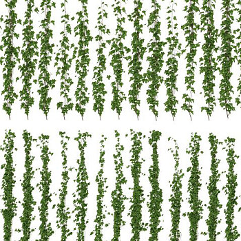 藤蔓植物3d模型下载