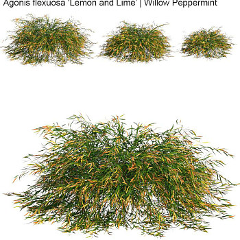 植物草3D模型下载