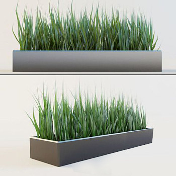 现代植物3d模型下载