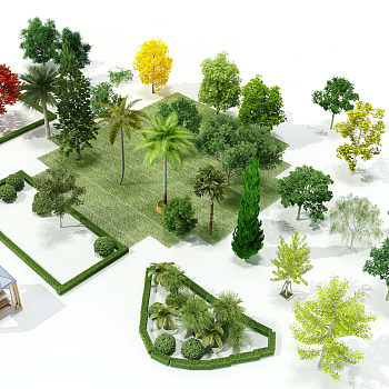 景观植物3d模型下载