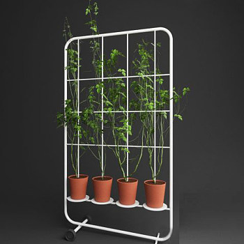 景观植物3d模型下载