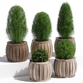 盆栽植物3D模型下载