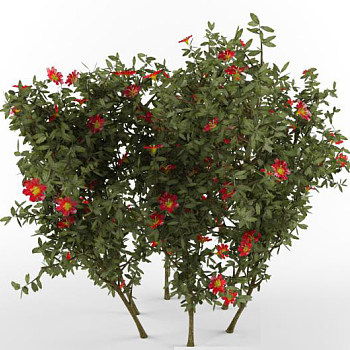 绿植树3D模型下载