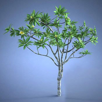景观树3D模型下载