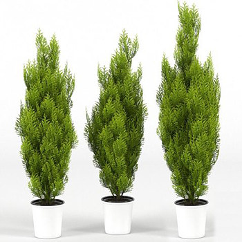 绿植盆栽3d模型下载