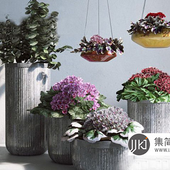 植物盆栽3d模型下载