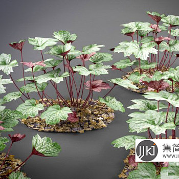 绿植3d模型下载