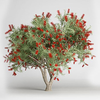 植物树3d模型下载