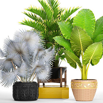 绿植盆栽3d模型下载