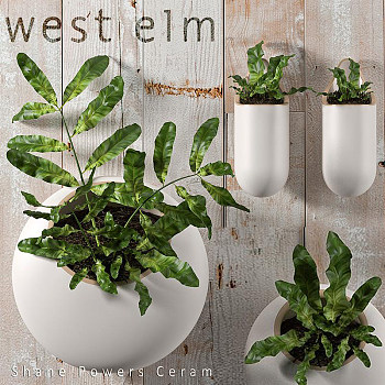 植物3d模型下载