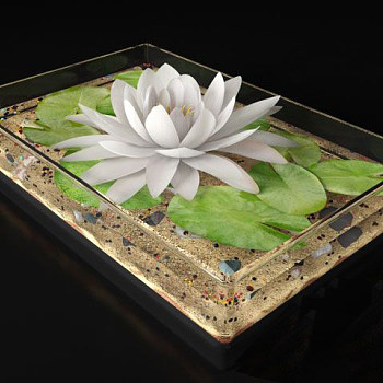莲花3d模型下载